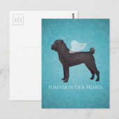 Carte Postale Mémorial et sympathie pour animaux de compagnie Sh (Devant / Derrière)
