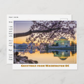 Carte Postale Mémorial Jefferson de Washington DC avec branche d (Devant / Derrière)