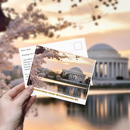 Carte Postale Mémorial Jefferson de Washington DC avec cerisier 