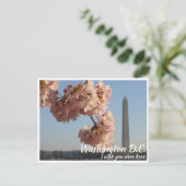 Carte Postale Mémorial Jefferson de Washington DC avec cerisier  (Debout devant)