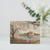 Carte Postale Mémorial Jefferson de Washington DC Voyage Rétro (Debout devant)
