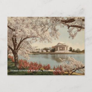 Carte Postale Mémorial Jefferson Washington DC Voyage Ancien