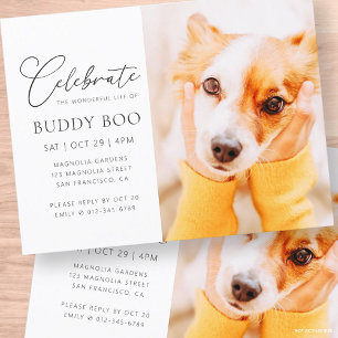 Carte Postale Mémorial pour animaux de compagnie Moderne Simple 