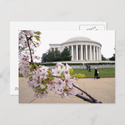 Carte Postale Mémorial Thomas Jefferson aux fleurs de cerisiers (Devant / Derrière)