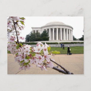 Carte Postale Mémorial Thomas Jefferson avec cerisiers en fleurs