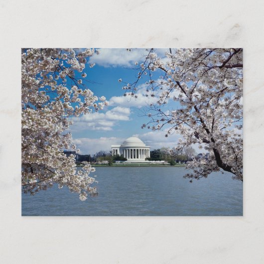 Carte Postale Mémorial Thomas Jefferson avec des fleurs de ceris (Devant)