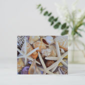 Carte Postale Ménagerie Sea Life (Debout devant)