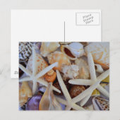 Carte Postale Ménagerie Sea Life (Devant / Derrière)