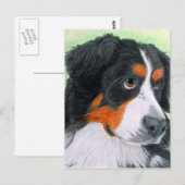 Carte Postale Mendier Bernese (Devant / Derrière)