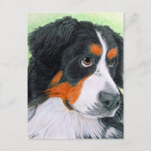 Carte Postale Mendier Bernese