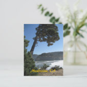Carte Postale Mendocino, Californie (Debout devant)
