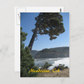Carte Postale Mendocino, Californie (Devant / Derrière)
