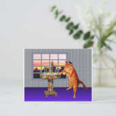 Carte Postale menorah cat.jpg (Debout devant)