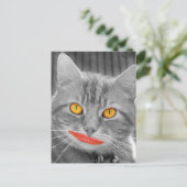Carte Postale Meow (Debout devant)