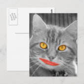 Carte Postale Meow (Devant / Derrière)