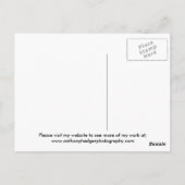Carte Postale Meow (Dos)