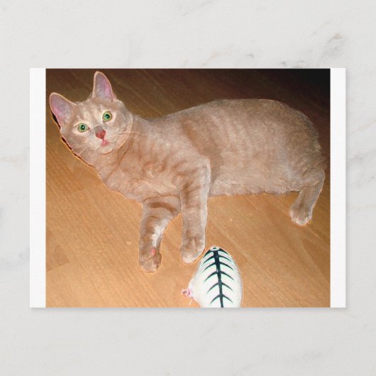 CARTE POSTALE MEOW (Devant)