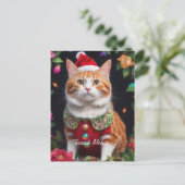 Carte Postale Meowy (Debout devant)