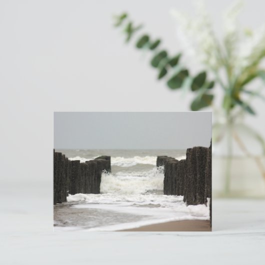 Carte Postale Mer (Debout devant)