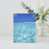 Carte Postale Mer (Debout devant)