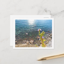 Mer Adriatique avec Campanule en été Montenegro