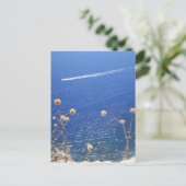 Carte Postale Mer bleue grecque  (Debout devant)