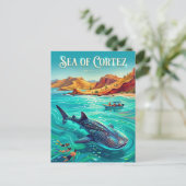 Carte Postale Mer de Cortez Mexique (Debout devant)