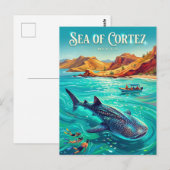 Carte Postale Mer de Cortez Mexique (Devant / Derrière)