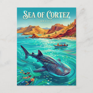 Carte Postale Mer de Cortez Mexique