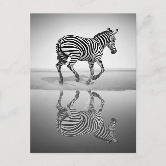 Carte Postale Mer de la liberté (Devant)