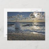 Carte Postale Mer des Caraïbes, îles Caïmans. Ondes écrasantes (Devant / Derrière)