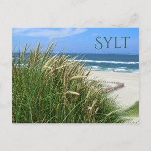 Carte Postale Mer du Nord, Plage, Herbe des Dunes, Sylt, Nordfri