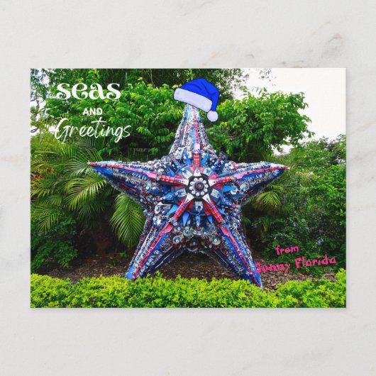Carte Postale Mer et salutations de Sunny Florida Noël (Devant)