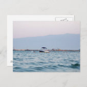 Carte Postale Mer grecque (Devant / Derrière)