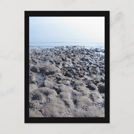 Carte Postale Mer morte (Devant)