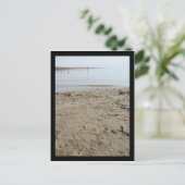 Carte Postale Mer morte (Debout devant)