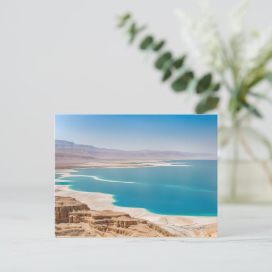 Carte Postale Mer morte en Israël (Debout devant)