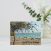 Carte Postale Mer Morte, Israël (Debout devant)