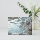 Carte Postale Mer morte Israël (Debout devant)