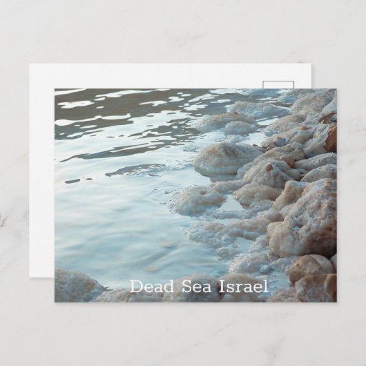Carte Postale Mer morte Israël (Devant / Derrière)