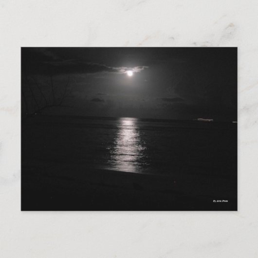 Carte Postale Mer nocturne (Devant)