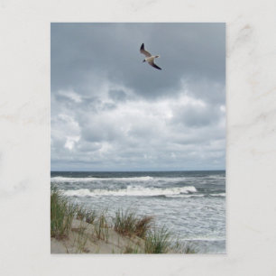 Carte Postale Mer orageuse