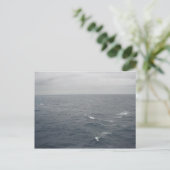 Carte Postale Mer orageuse dans le golfe du Mexique (Debout devant)