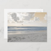 Carte Postale Mer Serene (Devant / Derrière)