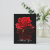 CARTE POSTALE MERCI (Debout devant)