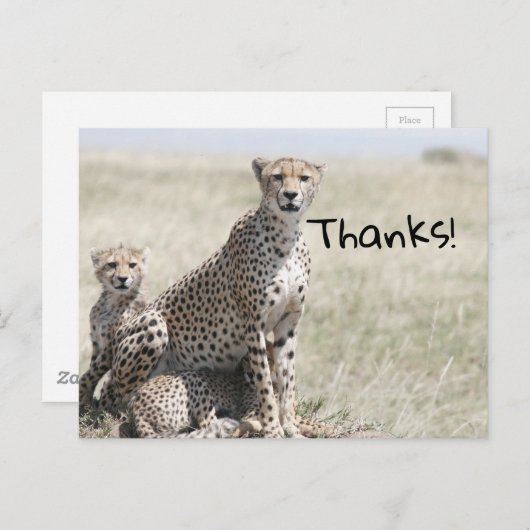 Carte Postale Merci (Devant / Derrière)