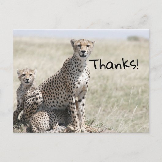 Carte Postale Merci (Devant)