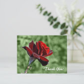 Carte Postale Merci (Debout devant)
