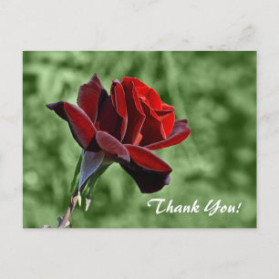 Carte Postale Merci