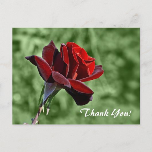 Carte Postale Merci (Devant)